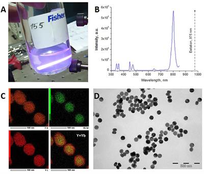 Local Overheating of Biotissue Labeled With Upconversion Nanoparticles Under Yb3+ Resonance Excitation